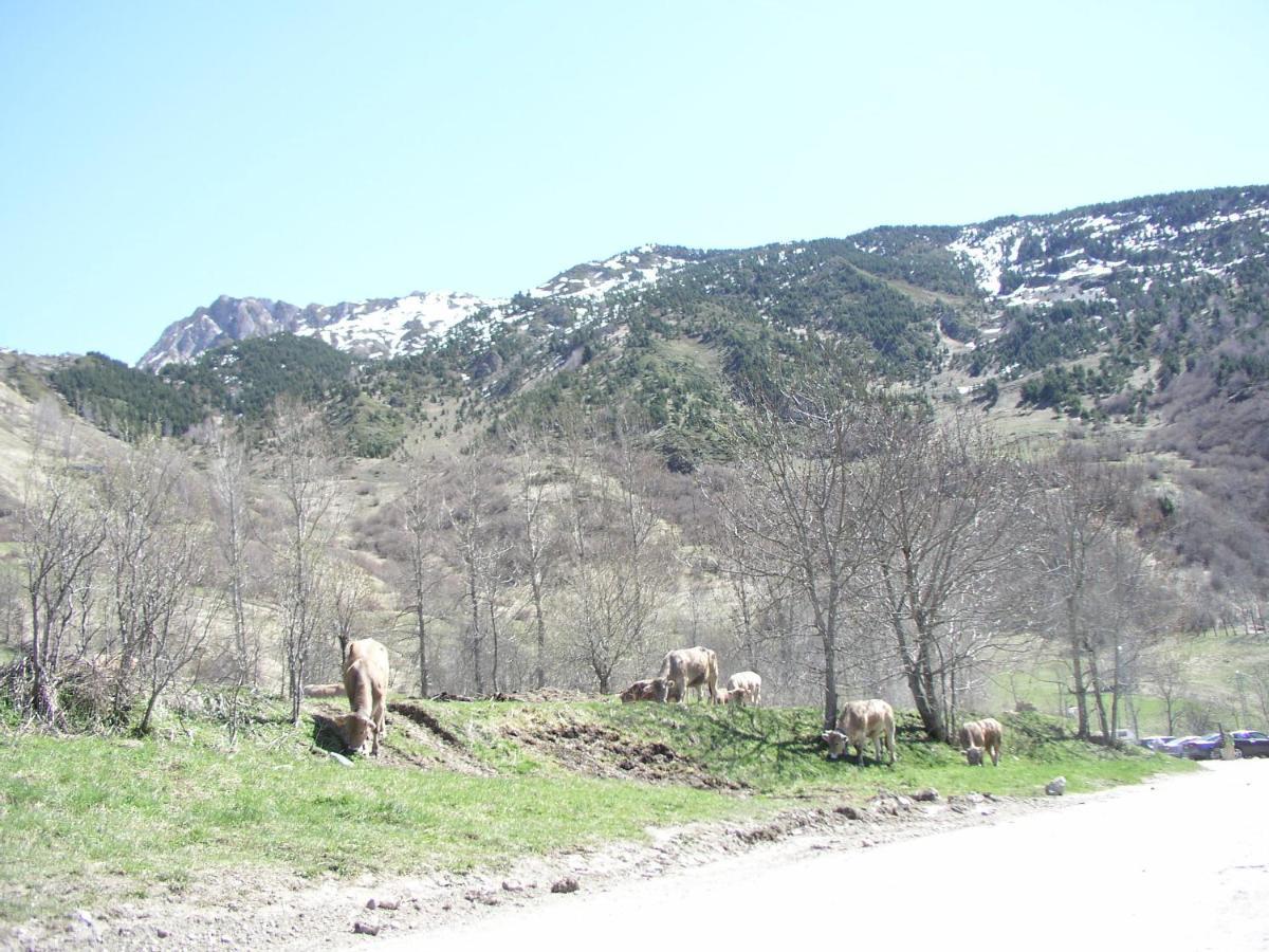 Casa De Piedra Con Encanto En El Bonito Pueblo De Bagergue Villa Dış mekan fotoğraf